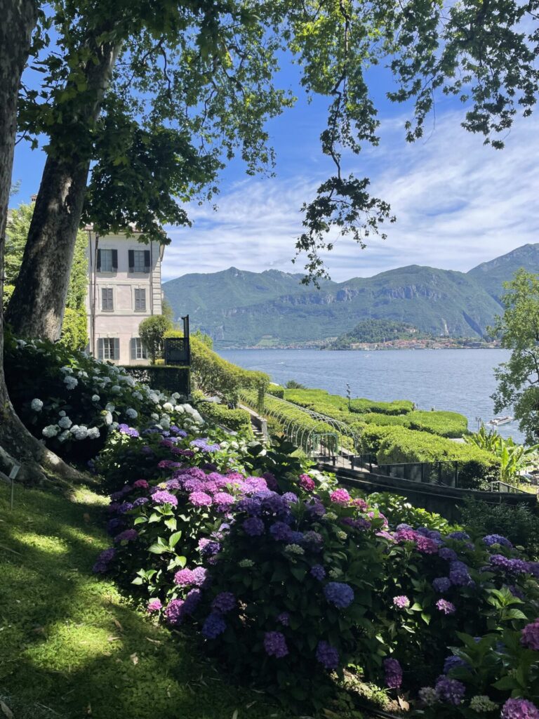 Italien, Comer See, Hortensien im Garten der Villa Carlotta