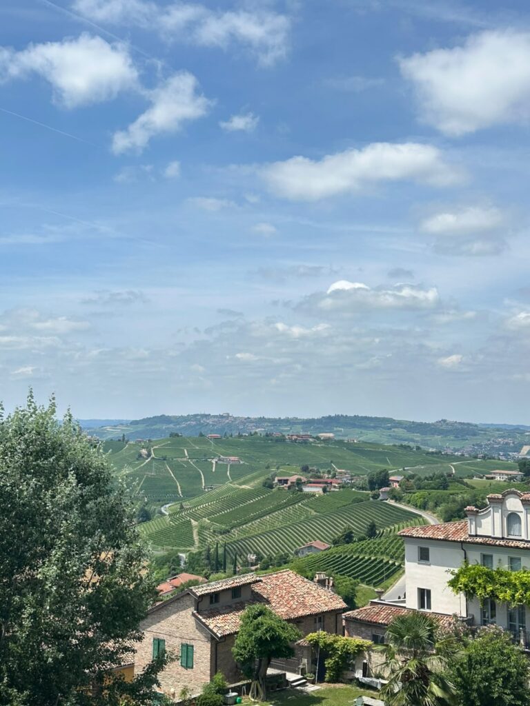Blick über die Weinregion Langhe im italienischen Piemont.