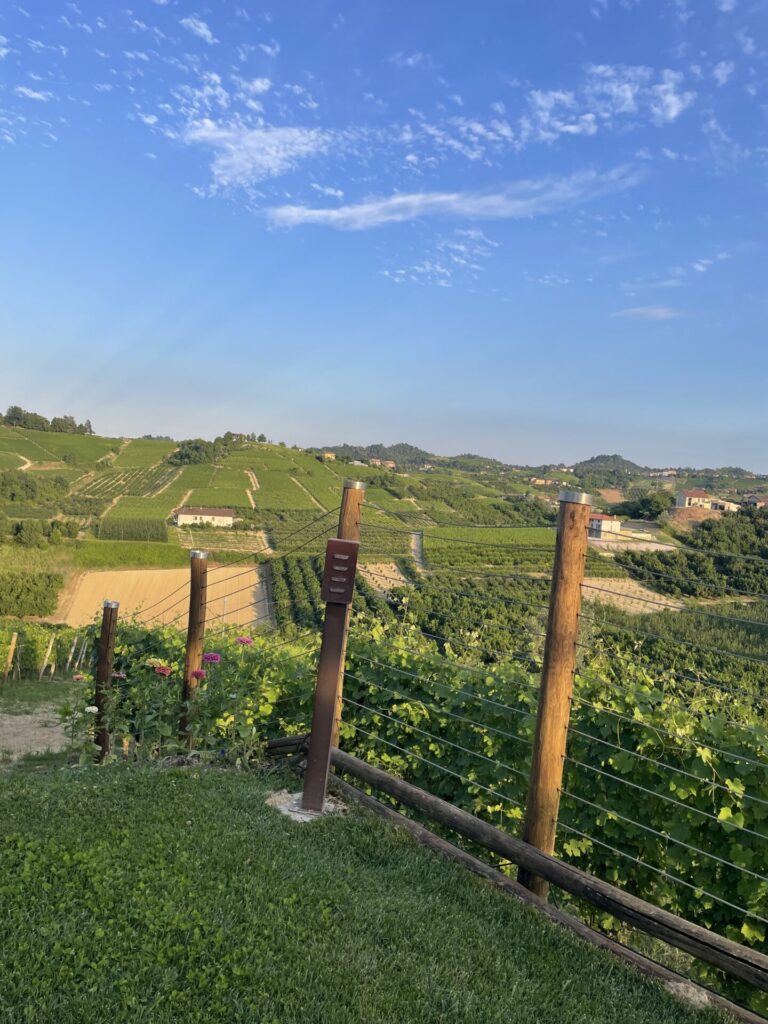 Italien, Piemont, Restaurant Ciabot San Giorgio umgeben von Weinbergen