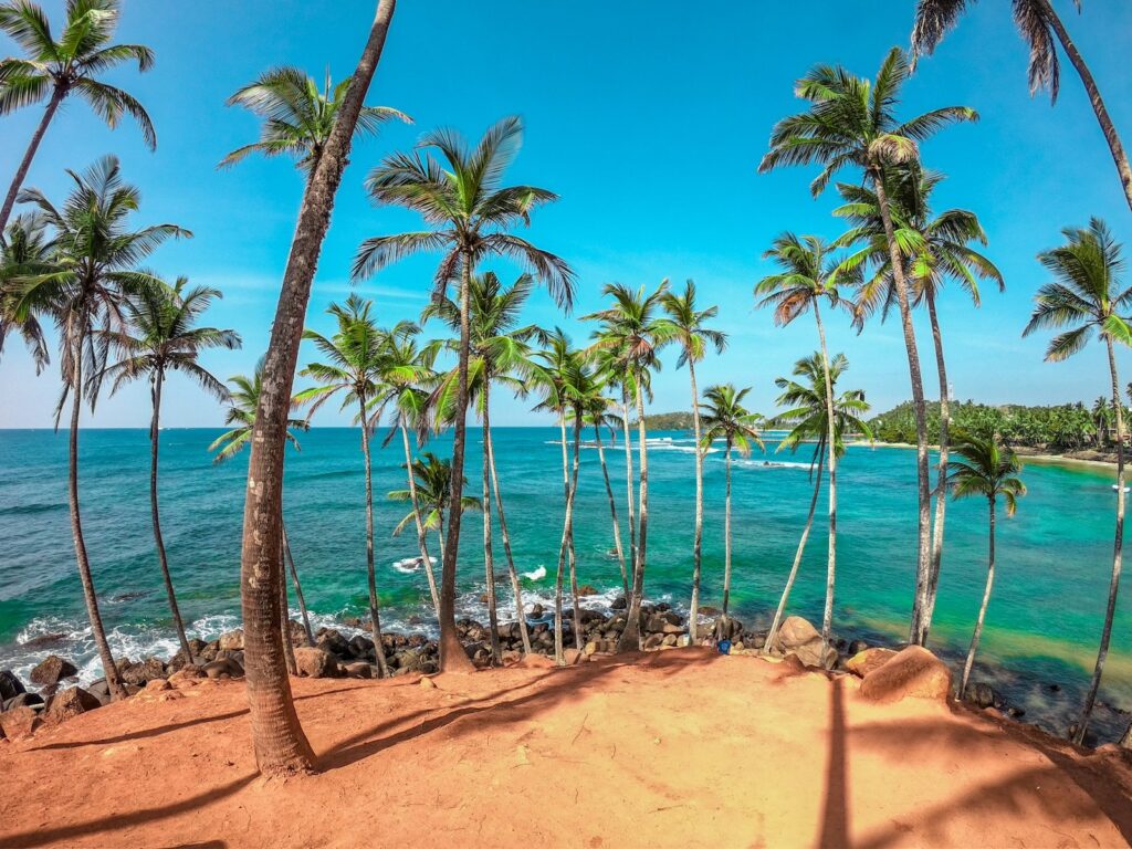 Ausblick aufs Meer mit Palmen am Coconut Tree Hill in Mirissa, Sri Lanka
